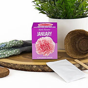 January Birth Flower - Something Different Gift Shop