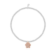 Joma Jewellery A Little Love Has Four Paws Bracelet full view, silver beaded stretch Bracelet with rose gold paw charm and sparkling crystals