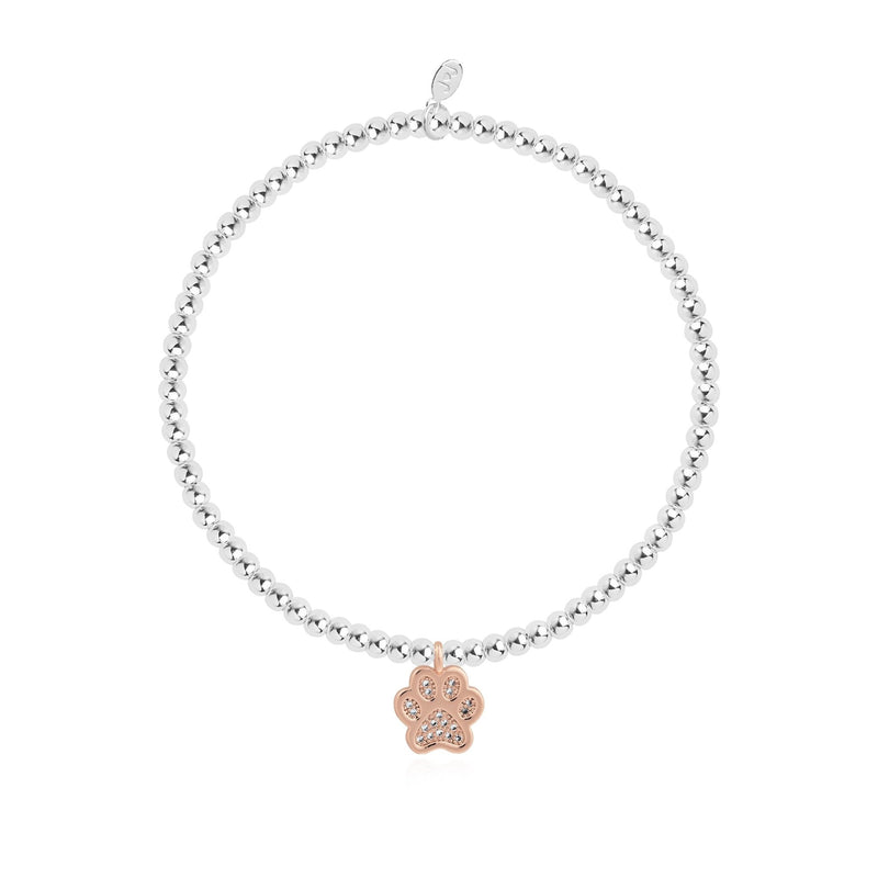 Joma Jewellery A Little Love Has Four Paws Bracelet full view, silver beaded stretch Bracelet with rose gold paw charm and sparkling crystals