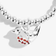 Joma Jewellery - A Little 'Robins Appear When Loved Ones Are Near' Bracelet - Something Different Gift Shop