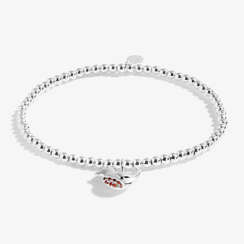 Joma Jewellery - A Little 'Robins Appear When Loved Ones Are Near' Bracelet - Something Different Gift Shop