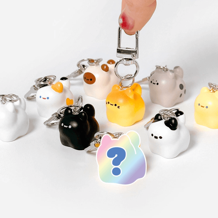 Kawaii Bread Cat Keychain Mystery Blind Box selection showing assorted cat keychains and a hidden mystery design