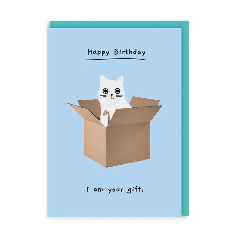 Funny cat birthday greeting card – I am your gift – white cat in a cardboard box with aqua envelope, A6