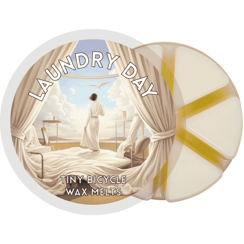 Laundry Day Segment Wax Melt - Something Different Gift Shop