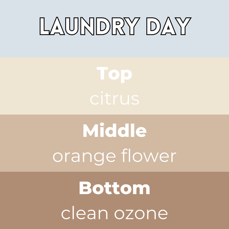 Laundry Day Segment Wax Melt - Something Different Gift Shop