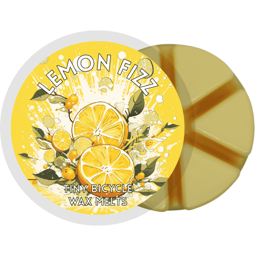 Lemon Fizz Segment Wax Melt - Something Different Gift Shop