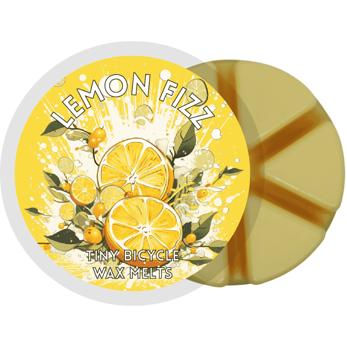 Lemon Fizz Segment Wax Melt - Something Different Gift Shop