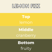 Lemon Fizz Segment Wax Melt - Something Different Gift Shop