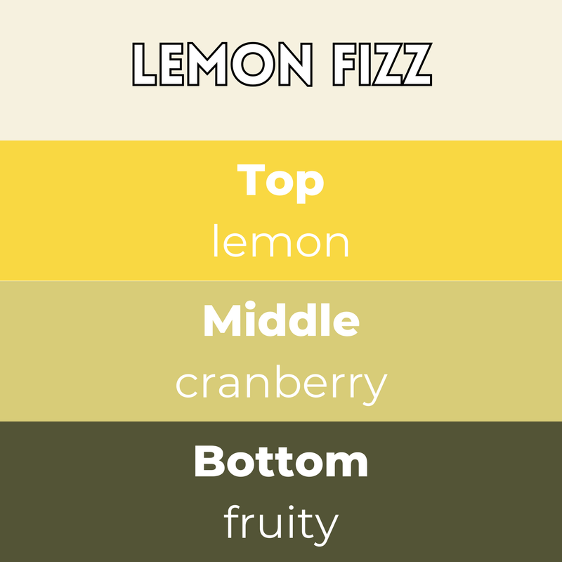 Lemon Fizz Segment Wax Melt - Something Different Gift Shop