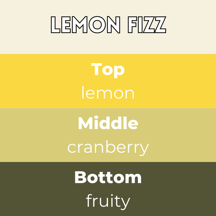 Lemon Fizz Segment Wax Melt - Something Different Gift Shop