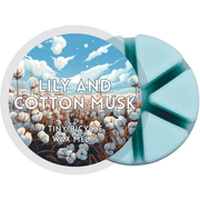 Lily & Cotton Musk Segment Wax Melt - Something Different Gift Shop