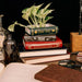 Literary book stack ceramic planter on a desk scene with open books and magnifying glass