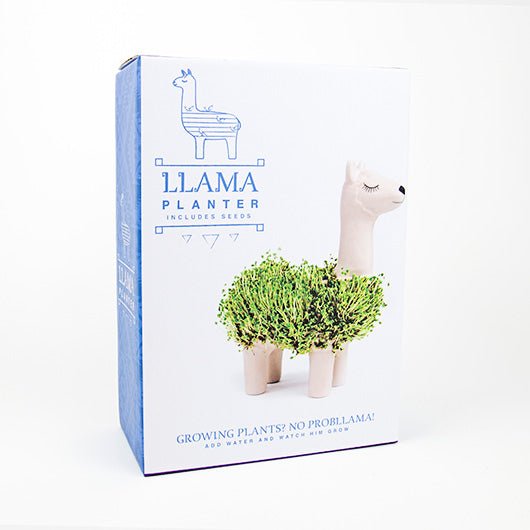 Llama planter gift box showing ceramic llama sprouting a coat of chia seeds