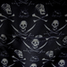 Interior lining of Loungefly Disney Pirates of the Caribbean Jack Sparrow mini backpack with skull and crossbones print