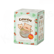 Front view of LuLu the Piggy Caturday Blind Box packaging with yarn-ball illustration and mint-green design
