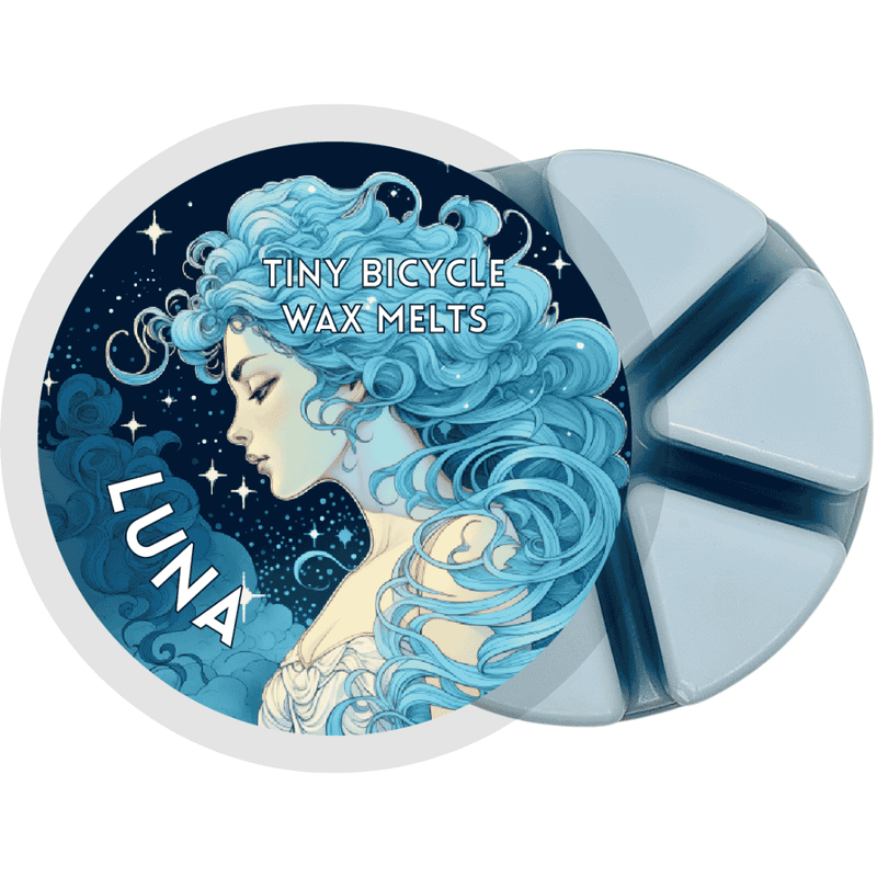Luna Segment Wax Melt - Something Different Gift Shop