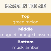 Magic In The Air scent card with wax melt fragrance details and themed background