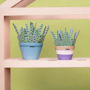 Make Your Own Calming Lavender Paper Plant Kit - Something Different Gift Shop