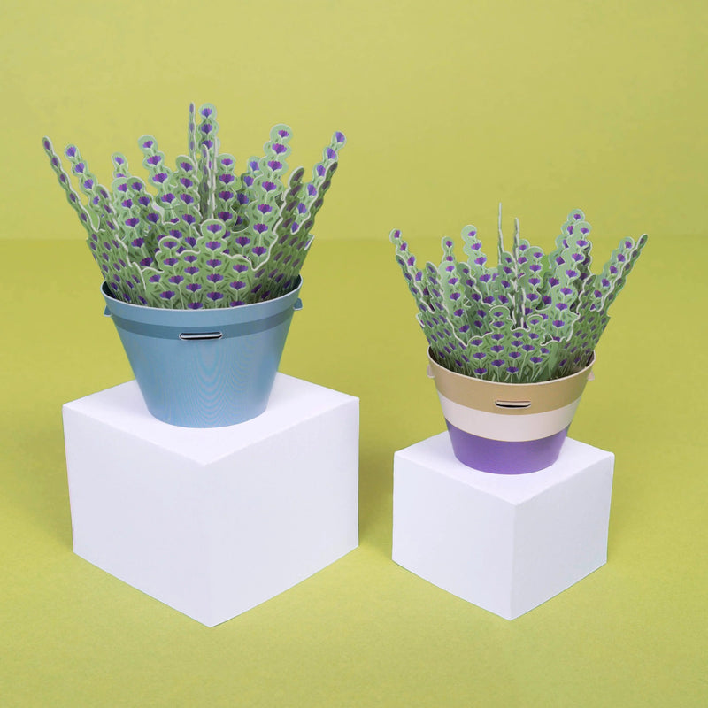 Make Your Own Calming Lavender Paper Plant Kit - Something Different Gift Shop