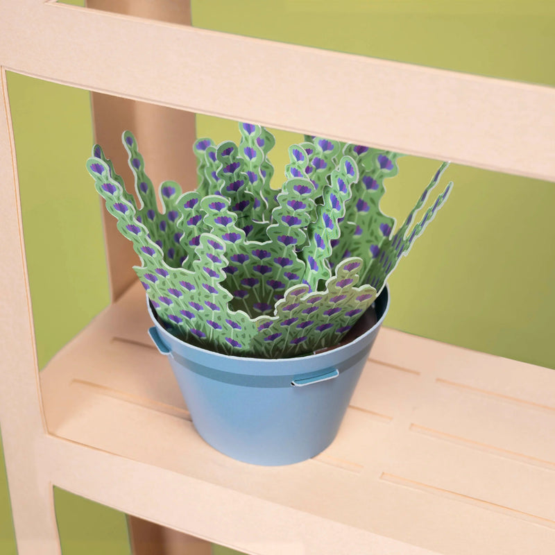 Make Your Own Calming Lavender Paper Plant Kit - Something Different Gift Shop