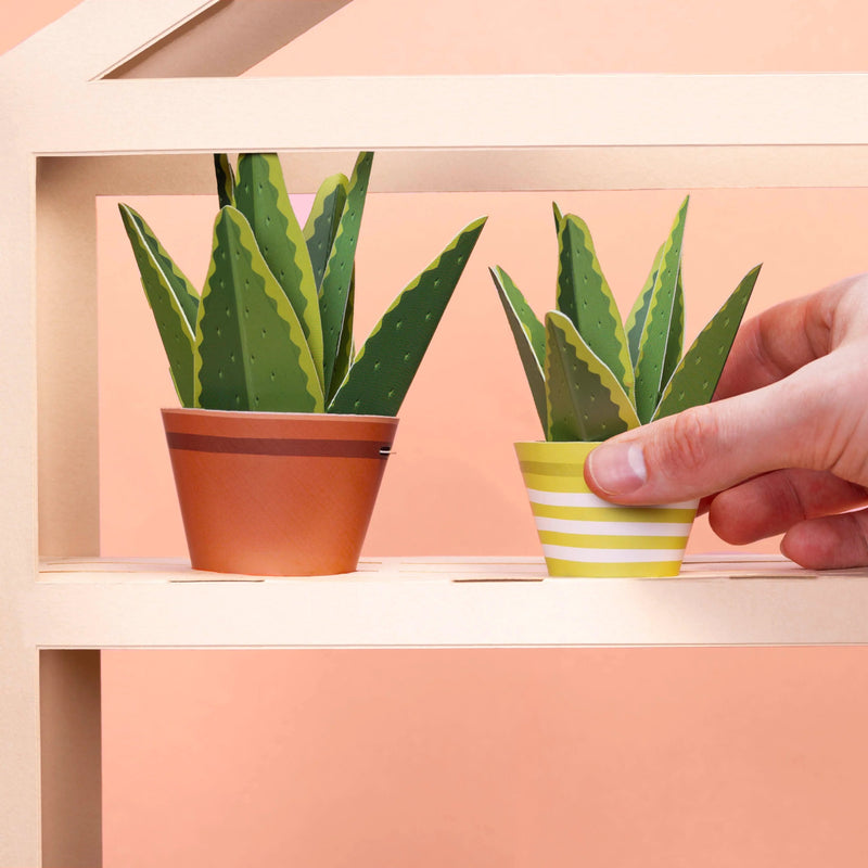 Make Your Own Healing Aloe Vera Paper Plant Kit - Something Different Gift Shop