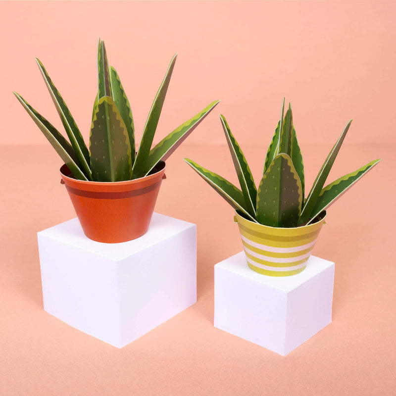 Make Your Own Healing Aloe Vera Paper Plant Kit - Something Different Gift Shop