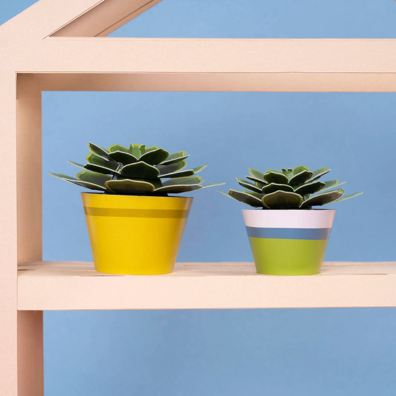 Make Your Own Soothing Succulent Paper Plant Kit - Something Different Gift Shop