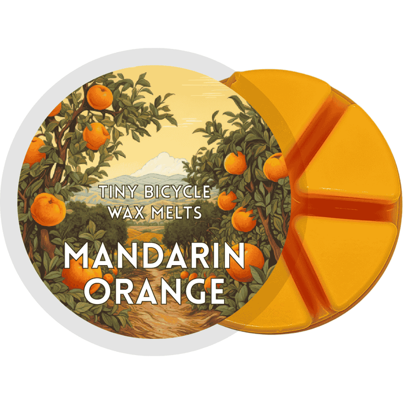 Mandarin Orange Segment Wax Melt - Something Different Gift Shop