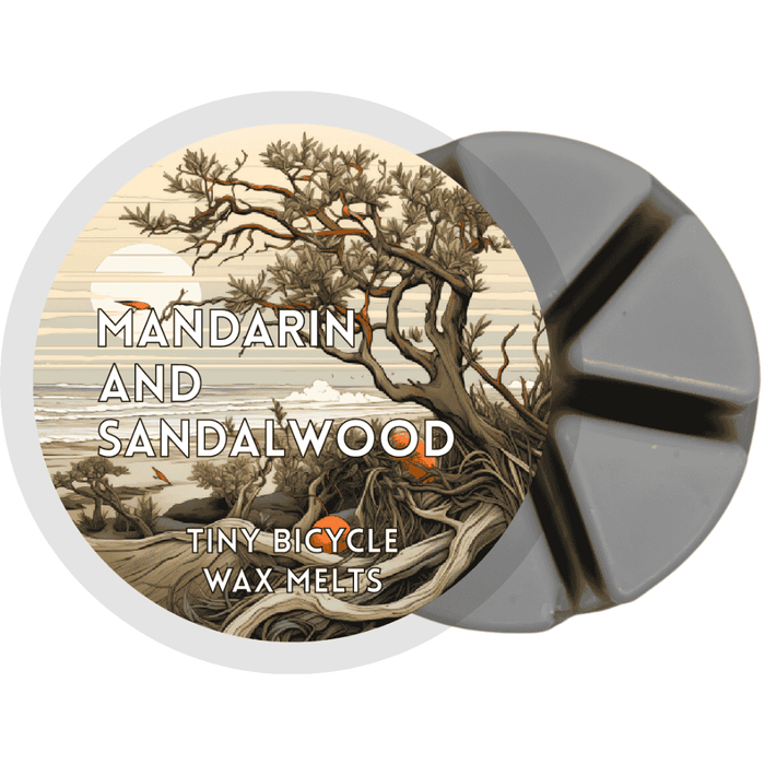 Mandarin & Sandalwood Segment Wax Melt - Something Different Gift Shop