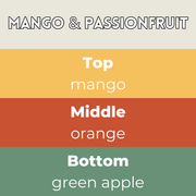 Mango & Passionfruit Segment Wax Melt - Something Different Gift Shop