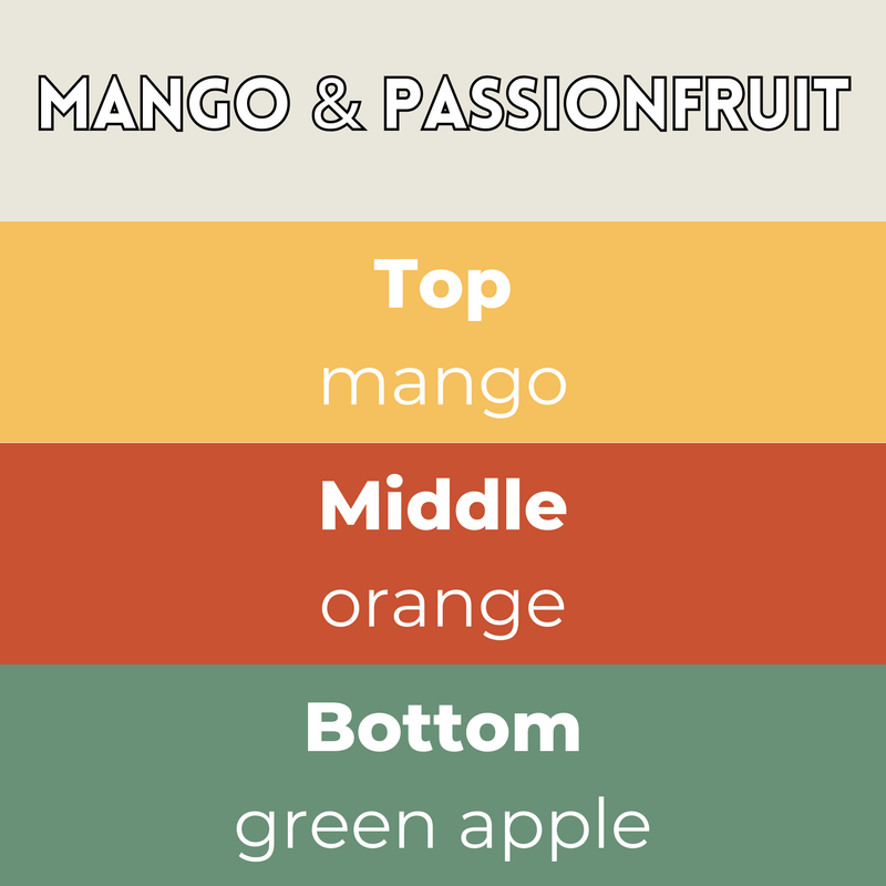 Mango & Passionfruit Segment Wax Melt - Something Different Gift Shop