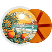 Mango & Passionfruit Segment Wax Melt - Something Different Gift Shop