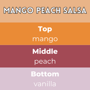Mango Peach Salsa Segment Wax Melt - Something Different Gift Shop