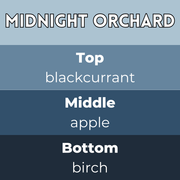 Midnight Orchard Segment Wax Melt - Something Different Gift Shop
