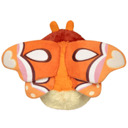 Back of Mini Squishable Atlas Moth showing its large orange patterned wings