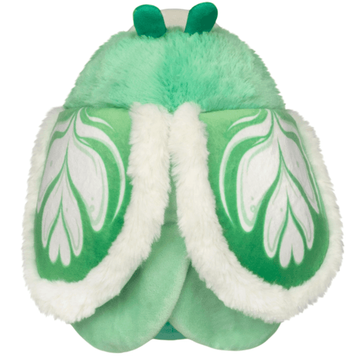 Back of Mini Squishable Matcha Moth showing green and cream patterned wings