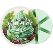 Mint Choc Chip Segment Wax Melt