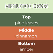 Mistletoe Kisses Segment Wax Melt - Something Different Gift Shop