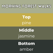 Morning Forest Walks Segment Wax Melt - Something Different Gift Shop