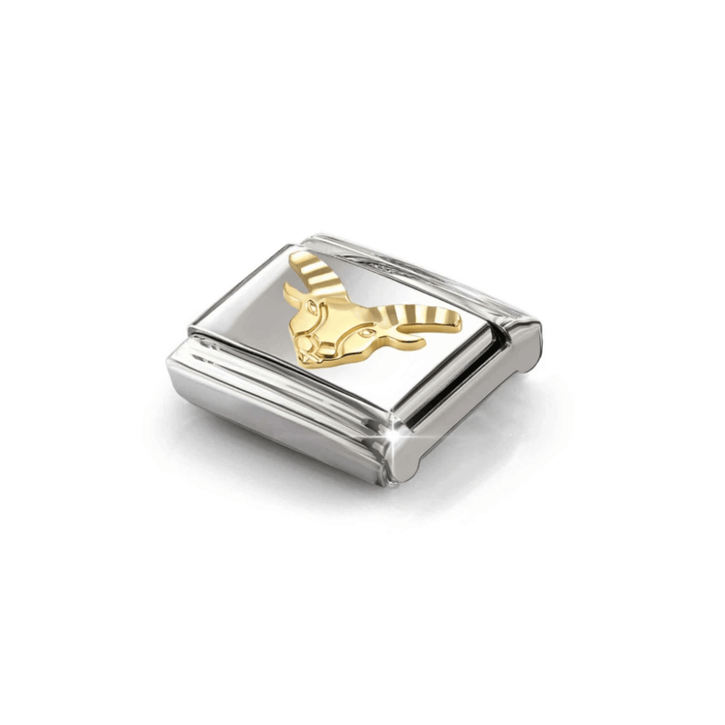 Angled view of Nomination Capricorn Classic Link in stainless steel and yellow gold