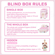 “Blind‑box rules card showing 1/6 regular, 1/72 hidden Lucky Cat odds for Nommi Loveliness series”
