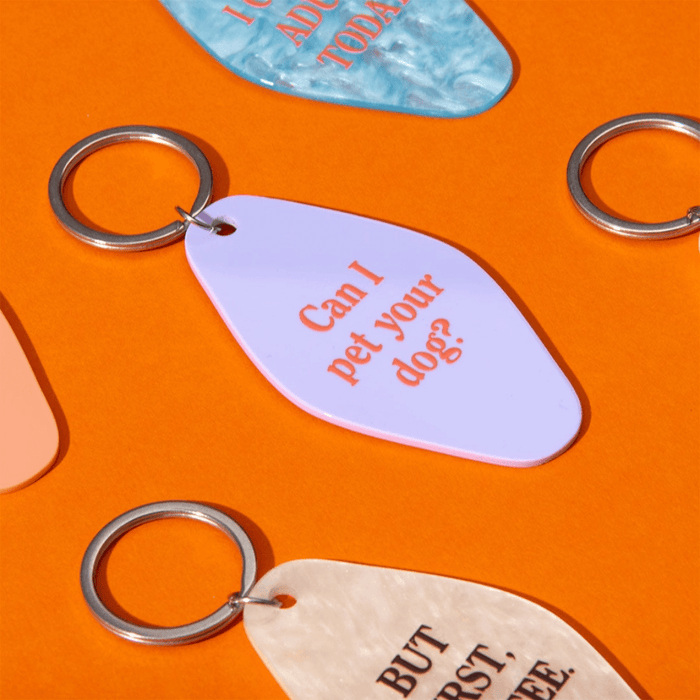 Ohh Deer Can I Pet Your Dog keyring shown with other colourful keyring designs