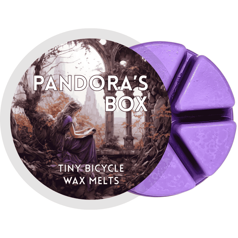 Pandora's Box Segment Wax Melt - Something Different Gift Shop