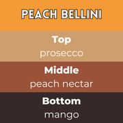 Peach Bellini Segment Wax Melt - Something Different Gift Shop