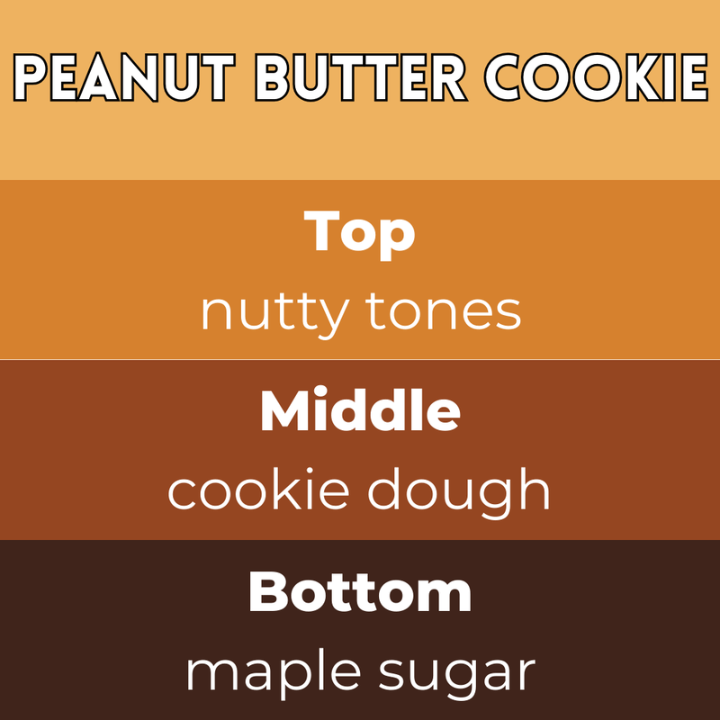 Peanut Butter Cookie Segment Wax Melt - Something Different Gift Shop