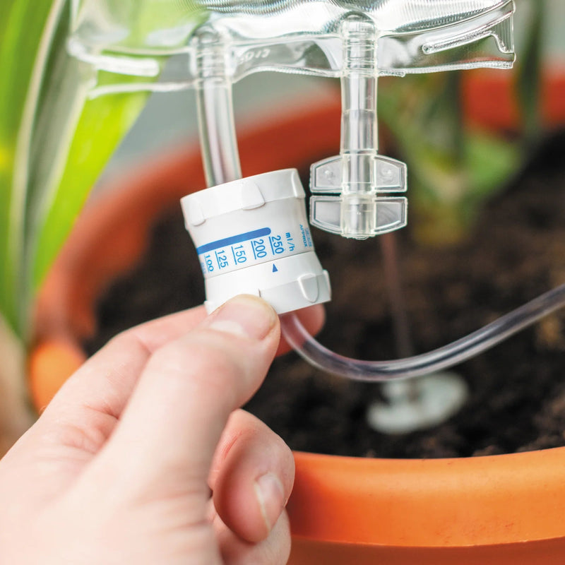 Plant Life Support - Something Different Gift Shop