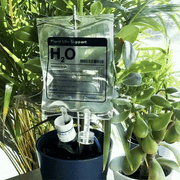 Plant Life Support - Something Different Gift Shop
