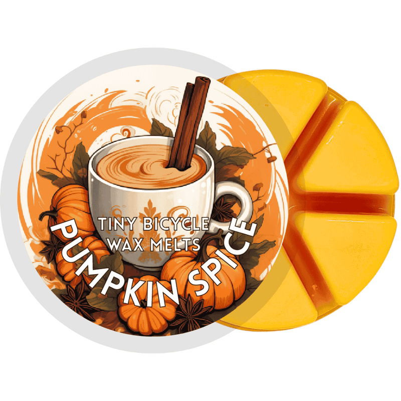 Pumpkin Spice Segment Wax Melt - Something Different Gift Shop