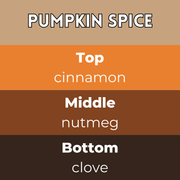 Pumpkin Spice Segment Wax Melt - Something Different Gift Shop
