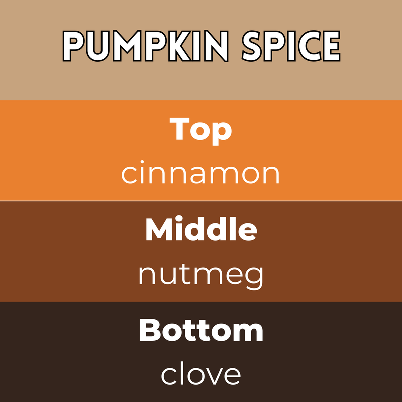 Pumpkin Spice Segment Wax Melt - Something Different Gift Shop